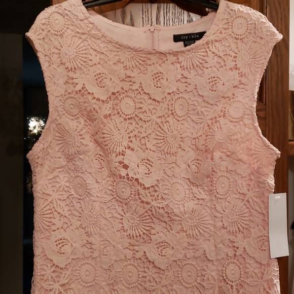 Ivy Blu Pink Lace Dress, NWT - Picture 2 of 3